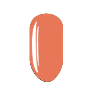 NLB - Color Gel Salmon Deep 7016 5ml